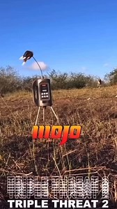 The best predator call on the market. MOJO Triple Threat 2. #MOJOOutdoors | Mojo TV