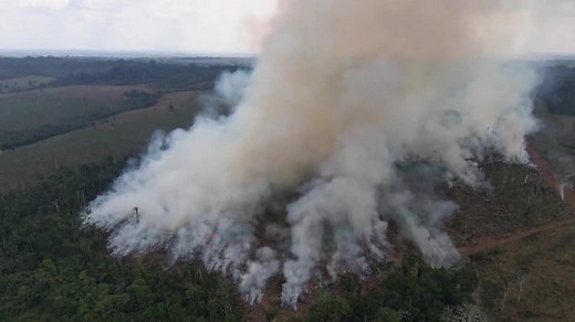 Explainer: Causes and consequences of Amazon fires and deforestation