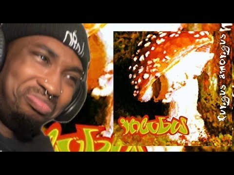 1ST TIME LISTENING TO INCUBUS!!! | Incubus - Fungus Amongus (Full Album) | Reaction/Review