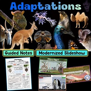 Adaptations PowerPoint Slideshow   Guided Notes