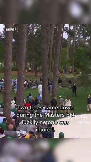 Thankfully no one was injured 🙏 #masters #golf #golfing #themasters #tree