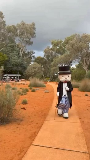 Look who came to visit the Australian National Botanic Gardens! Did you know that the Gardens is on the new Canberra Monopoly board? To celebrate, Mr Monopoly himself visited for a tour! Canberra Monopoly is on sale at the Botanical Bookshop inside the Visitor Centre building. #monopoly #gardens #canberra #WeAreCBR #boardgame #anbgalive #parksaustralia | Parks Australia | Facebook