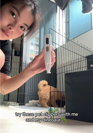 Dog Grooming Made Easy with Safe Pet Clippers