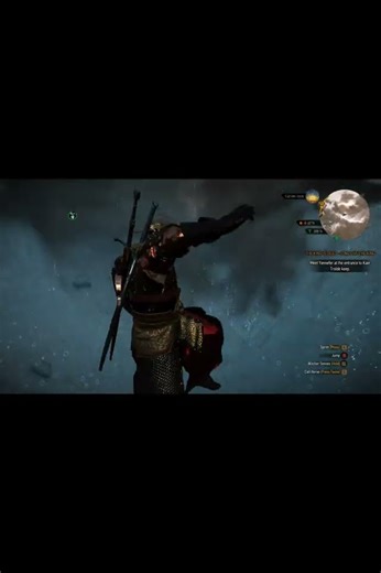 #witcher3 Skellig Skateboarding