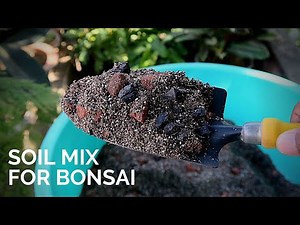 Soil mix for Bonsai || Easy soil preparation for Bonsai || Bonsai substrate mix