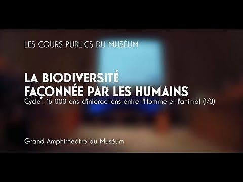 Homme/animal - La biodiversité façonnée par les humains
