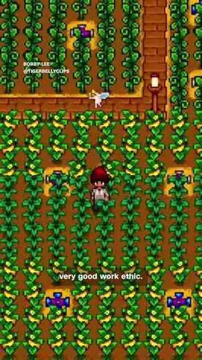 Actor Kat Dennings and comedian Bobby Lee are both Stardew Valley megafans who have spent hundreds of hours in the retro-looking pixel art farming game. As the game turns 10, the developer, Eric Barone, says he only expected it to sell a handful of copies, but it has instead sold just shy of 50 million. Read more about the indie game and its community of fans: https://cnn.it/3N7eobj | CNN International