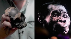 Crazy: 250,000-Year-Old Skull Found In A Cave In South Africa!