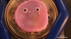 Japanese scientists make a robot face with living skin that can smile