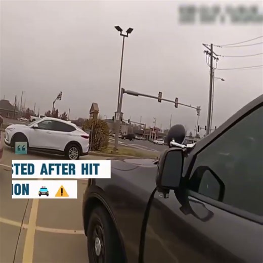 Young Driver Arrested After Hit And Run Investigation 🚔⚠️ A traffic stop following a reported hit and run quickly escalates as officers encounter emotional behavior and signs of impairment, highlighting how denial and volatility can worsen legal outcomes Watch to learn how hit and run cases are investigated, why impairment indicators matter, and how cooperation can significantly affect the situation 📘🧠 #RoadSafety #DUILaws #PublicSafety #RealLifeLessons | Code 360