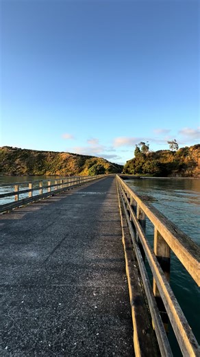 Fishing Adventures in Waitawa Region Park, New Zealand