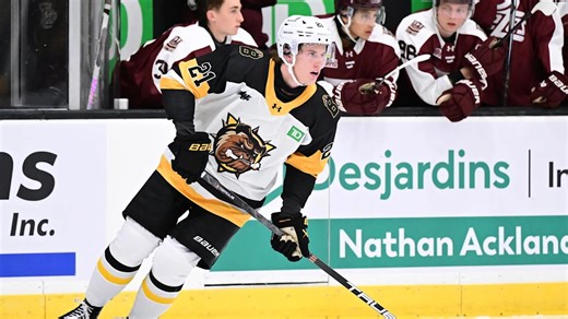 Maple Leafs 7th Round Prospect Announces NCAA Commitment