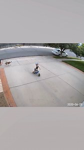 Chalk. It's literally the only thing kids need. Next to food. 🎙👍 | Ozzy Man Reviews