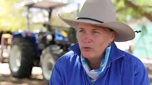23K views · 524 reactions | Farmers in Longreach have had rain this week, for the first time in five years. Just weeks ago, RACQ Foundation volunteers went to help those worst affected by the drought. #RACQFoundation | RACQ | Facebook