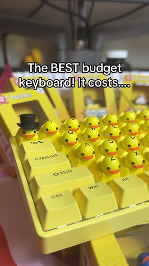 The BEST Duck-Themed Budget Keyboard!