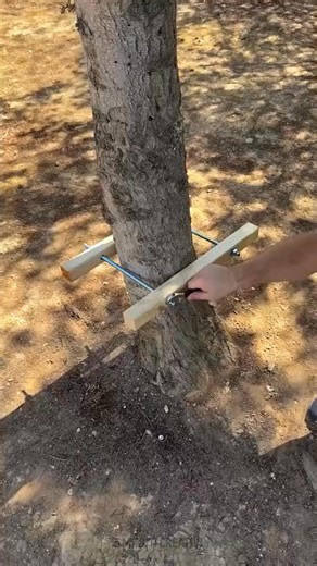 Costruire con la Natura, Non Contro di Essa 🌿 | 5 Minuti Creativi Giochi