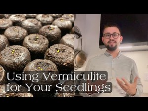 How to Use Vermiculite for Seedlings