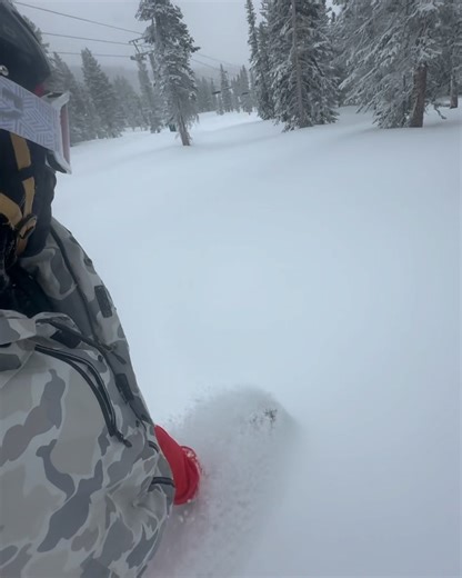 Brian Brown on Reels