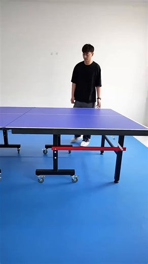 双鱼 乒乓球桌室内家用可折叠 移动带轮乒乓球台 JD200附网架赞商品