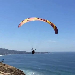 Torrey Pines Gliderport Anyone? | Magic Nature