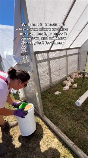 Jordyn & Kay | Homesteaders | Backyard Chicken Processing on Instagram: "One thing about us is we believe in doing it yourself without burning out. If you’re a backyard grower who wants to fill your freezer and still enjoy the process, you’re going to like it here. Follow along for more processing tips, behind-the-scenes, and the exact setup that makes it all possible."