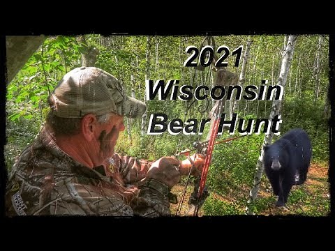 Wisconsin Bear Hunt 2021