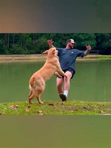 Hilarious Dog Fails That Will Make You Laugh Out Loud