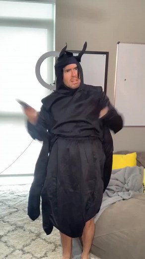 Las Arañas Tienen Sentimientos: ¿Realidad o Mito?