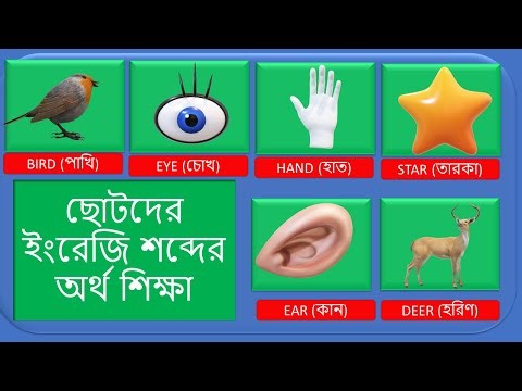 ছোটদের ইংরেজি শব্দের অর্থ শিক্ষা | Chotoder English Meaning Shikkha | ইংরেজি থেকে বাংলা অর্থ শিক্ষা