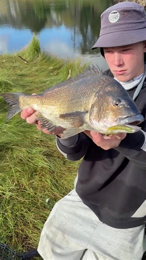 Catching 41cm Bream on Wave Minnow