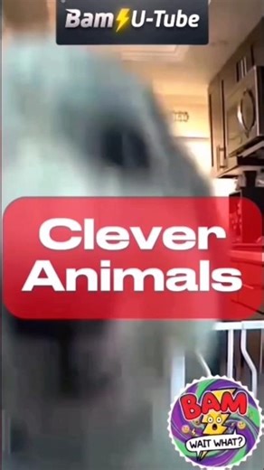 Cutest Clever Animals 👀😅 #shortsviral