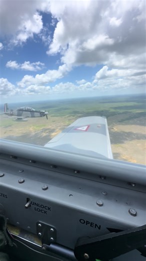 Walking on a Dream Capcut Template for Creative Editing