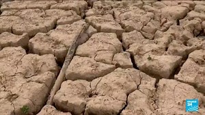 Sécheresse intense en Espagne : la culture d'avocats épuise les ressources