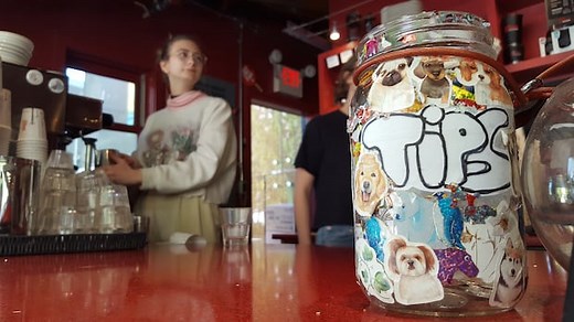 Sask. employers to be unable to withhold tips from workers under new labour regulations