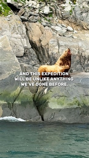 Russia’s most remote region and the easternmost point of Eurasia 🌍 It’s an intriguing land whose ancient traditions have been shaped by the large presence of whales 🐋, walruses 🦭 and reindeers 🦌, animals that feature in local folklore, songs, music, customs, cuisine, and daily life. Chukotka is so remote that it truly feels like the end of the world ❄️, a land that remains almost unknown even to most Russians, and where the Chukchi culture survives in one of the planet’s most isolated enviro