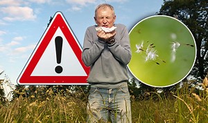 Hay fever: Doctor explains the symptoms and treatments