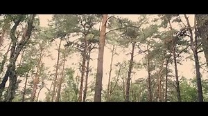 Leo Rojas - Warrior of Freedom https://native-wolves-t-shirts.creator-spring.com/ | Feather Eyes.Com