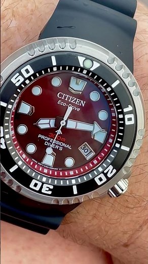 Citizen Promaster Professional 300m BN1024