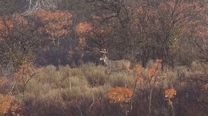 Final Rest Shooting Systems TV Spot, 'Confidence'