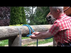 Pferde sicher anbinden