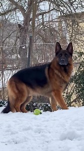 Beast mode activated 🔥 | Lana Alexia