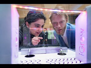 Integrated Engineering - Virtual Program Fair 2025