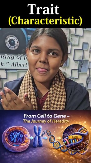 What is trait in biology ? || Trait