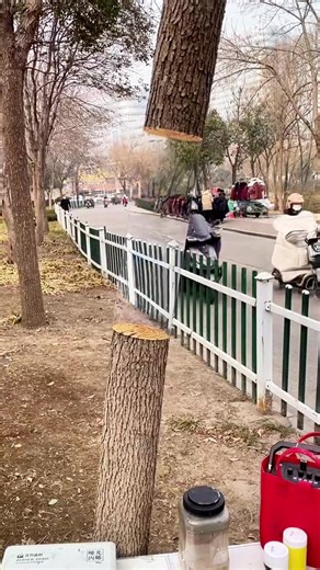 Exploring Daily Life Through Art