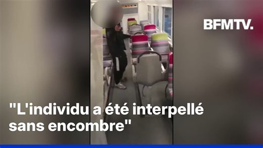 Tentative de viol dans le RER C: un suspect a été interpellé et placé en garde à vue