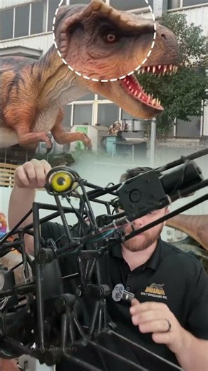 Animatronic Skeleton Breakdown Head and neck