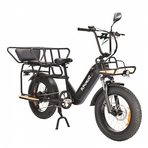 [Hot Item] 2025 Electric E Bike Fatbike 750W 48V Big Wheel Electric Bike Retro E-Bike for Adult 2 Seats City Electric Street Bike Fat Bike