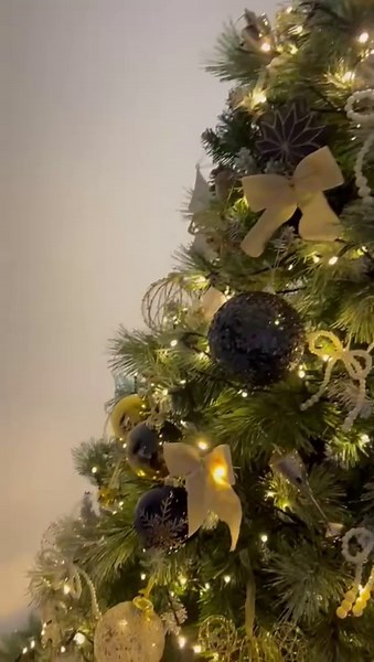 Beautiful Tree Decoration Ideas for Christmas