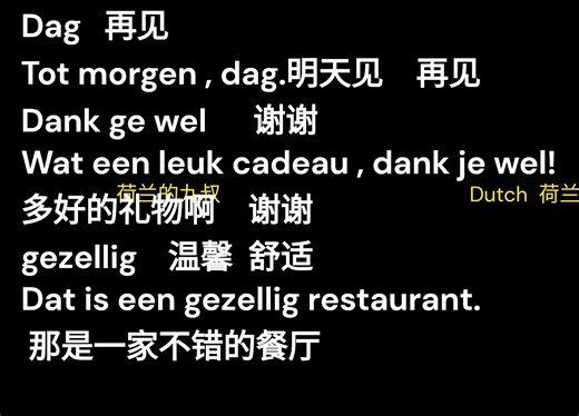 Dutch words荷兰语认单词听读语音学习造句