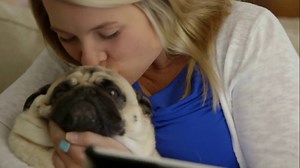 University of Massachusetts Lowell TV Spot, 'Online Courses'